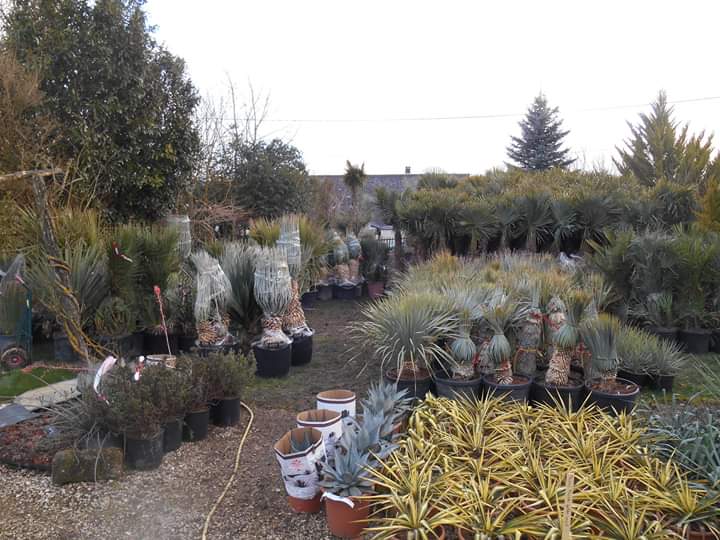 Garden Center