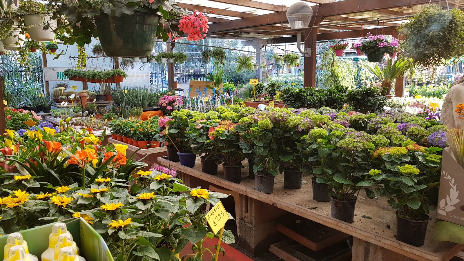 Garden Center