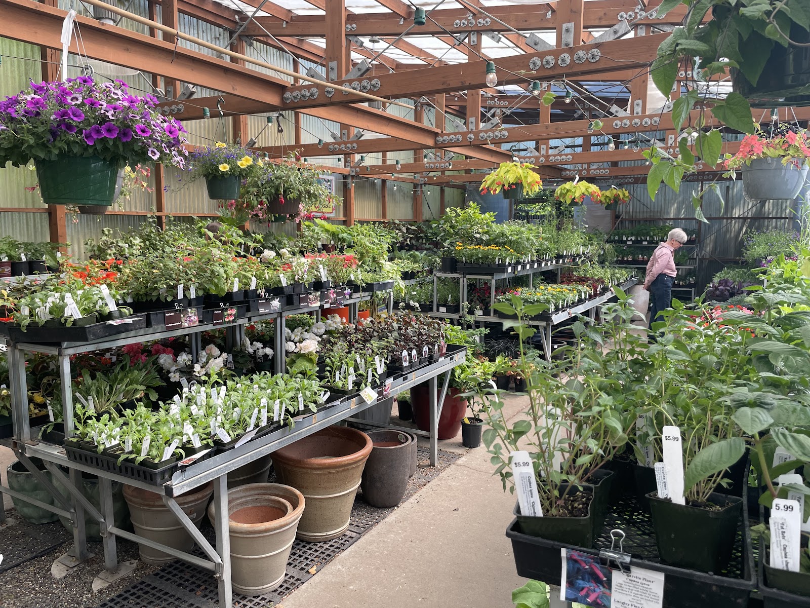 Garden Fever