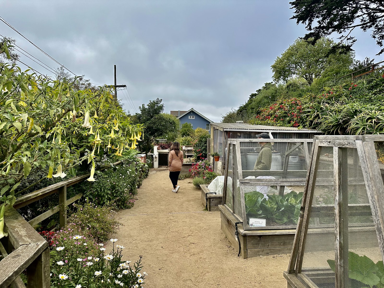 Garden for the Environment