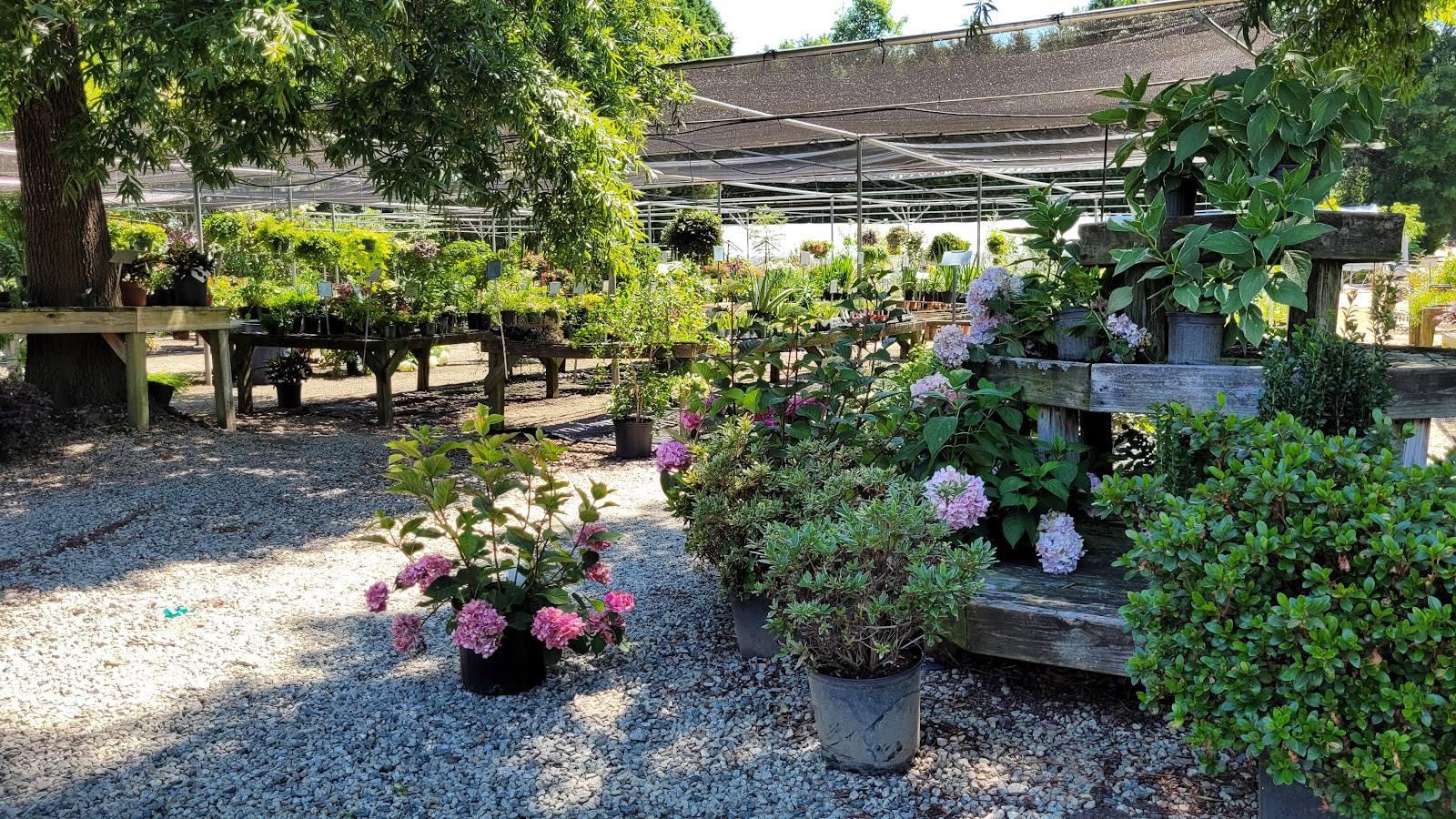 Garden Greenhouses