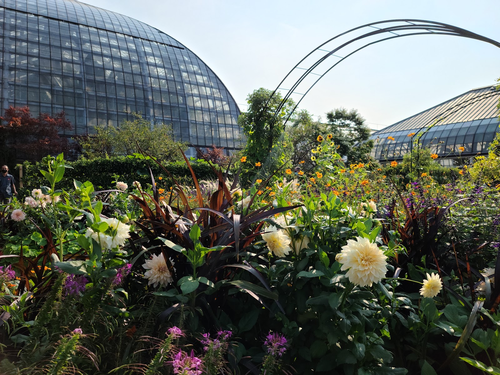 Garfield Park Conservatory