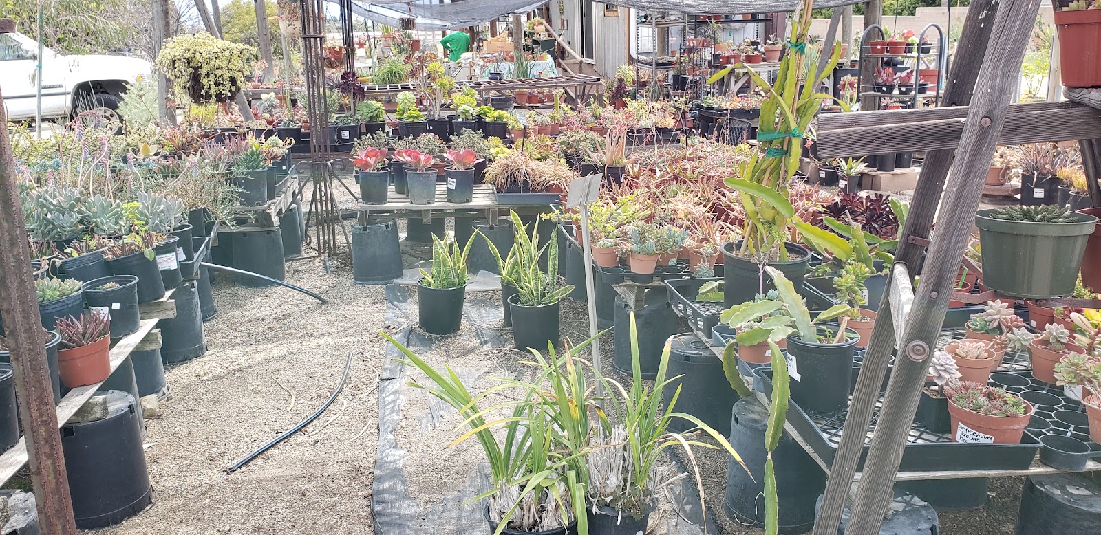 Garrison Foothill Nursery