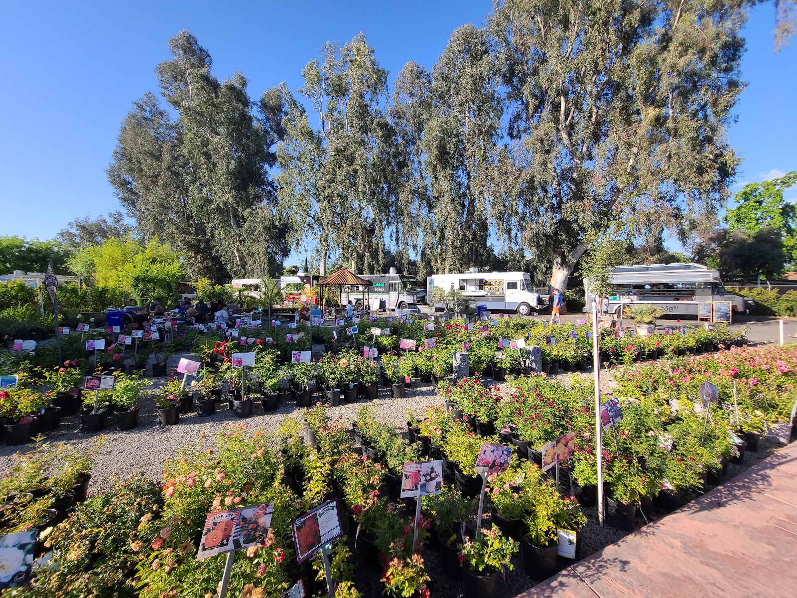 Gazebo Gardens Inc