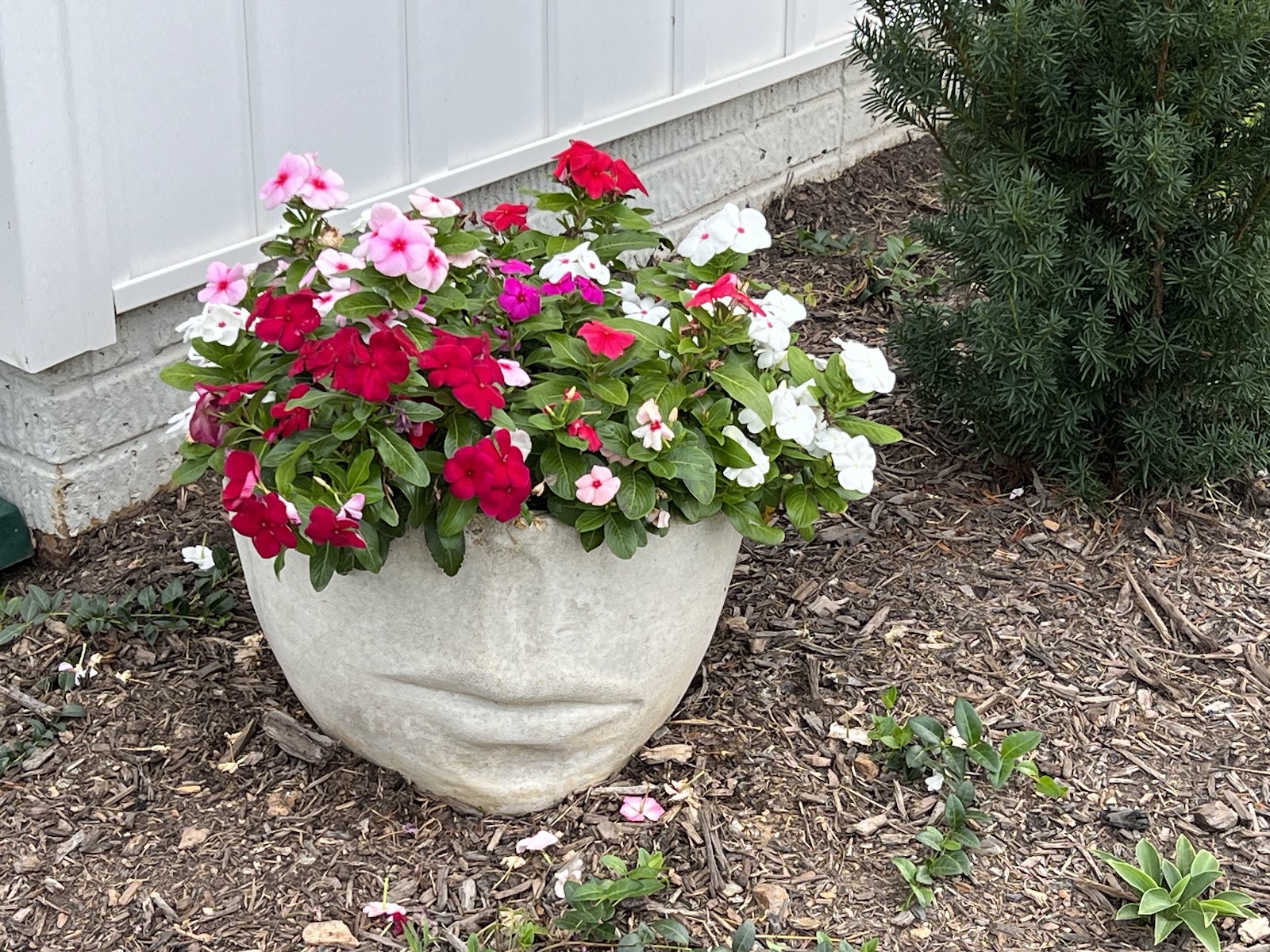 Geerlings Garden, Gift, and Patio