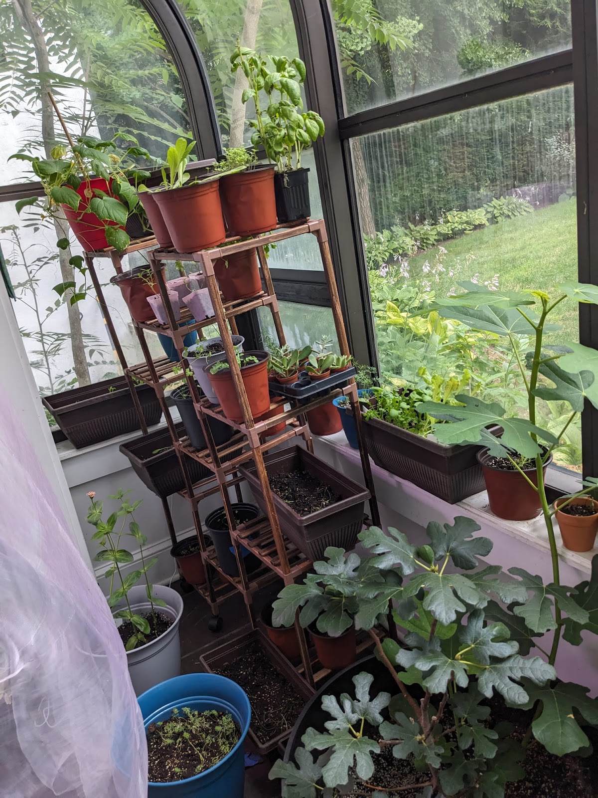 Gemal's Greenhouse