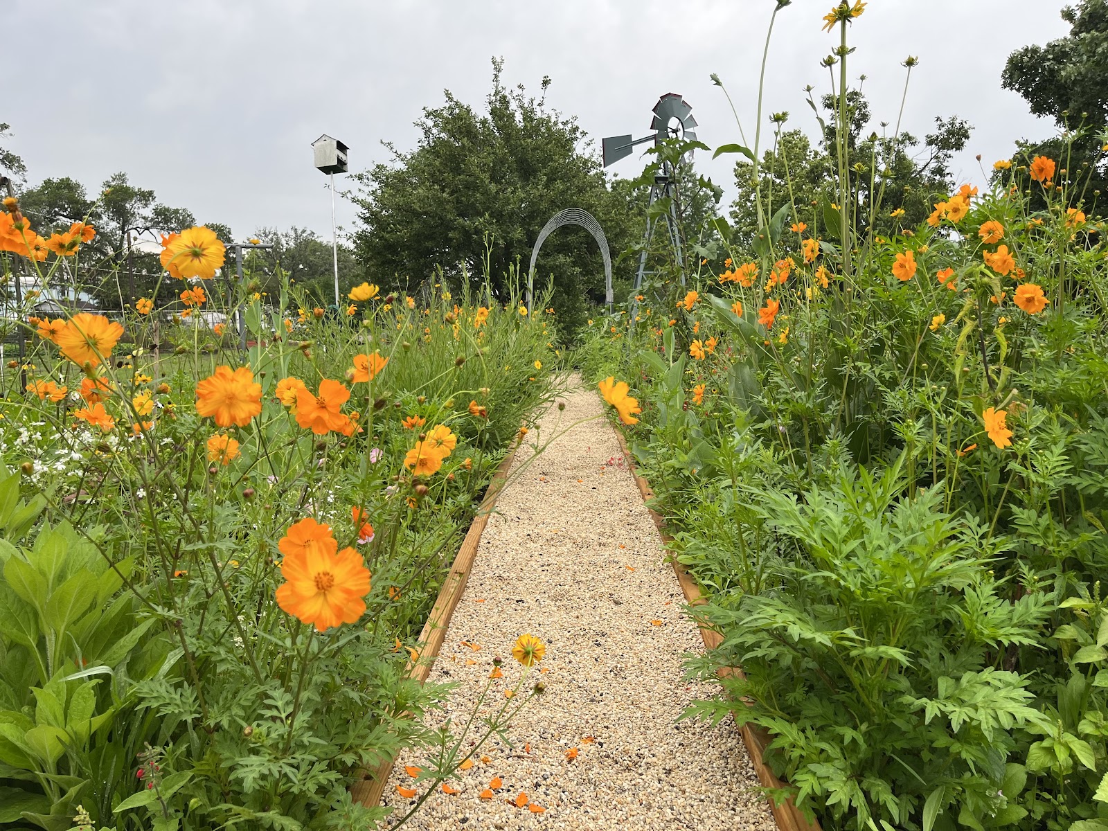 Genoa Friendship Gardens