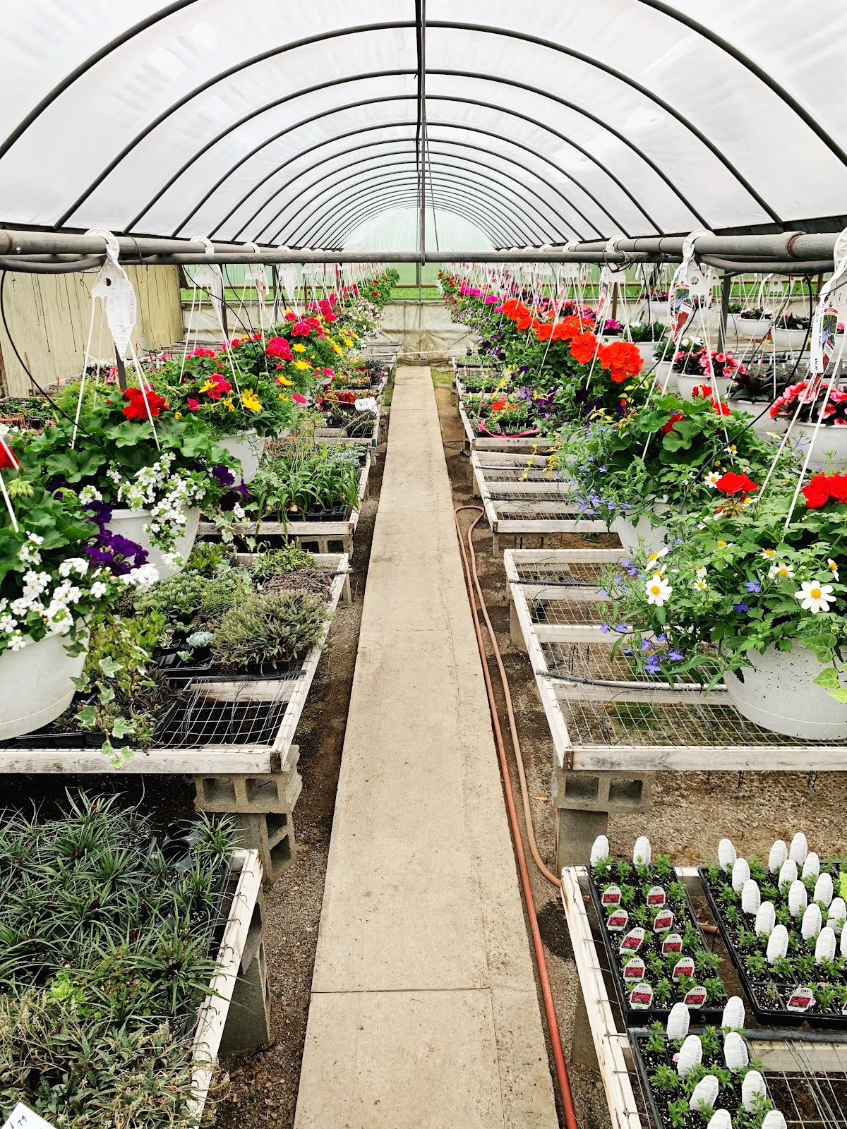 GentleBrook Greenhouse + Farm