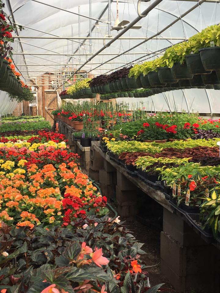Gerten's Farm Market