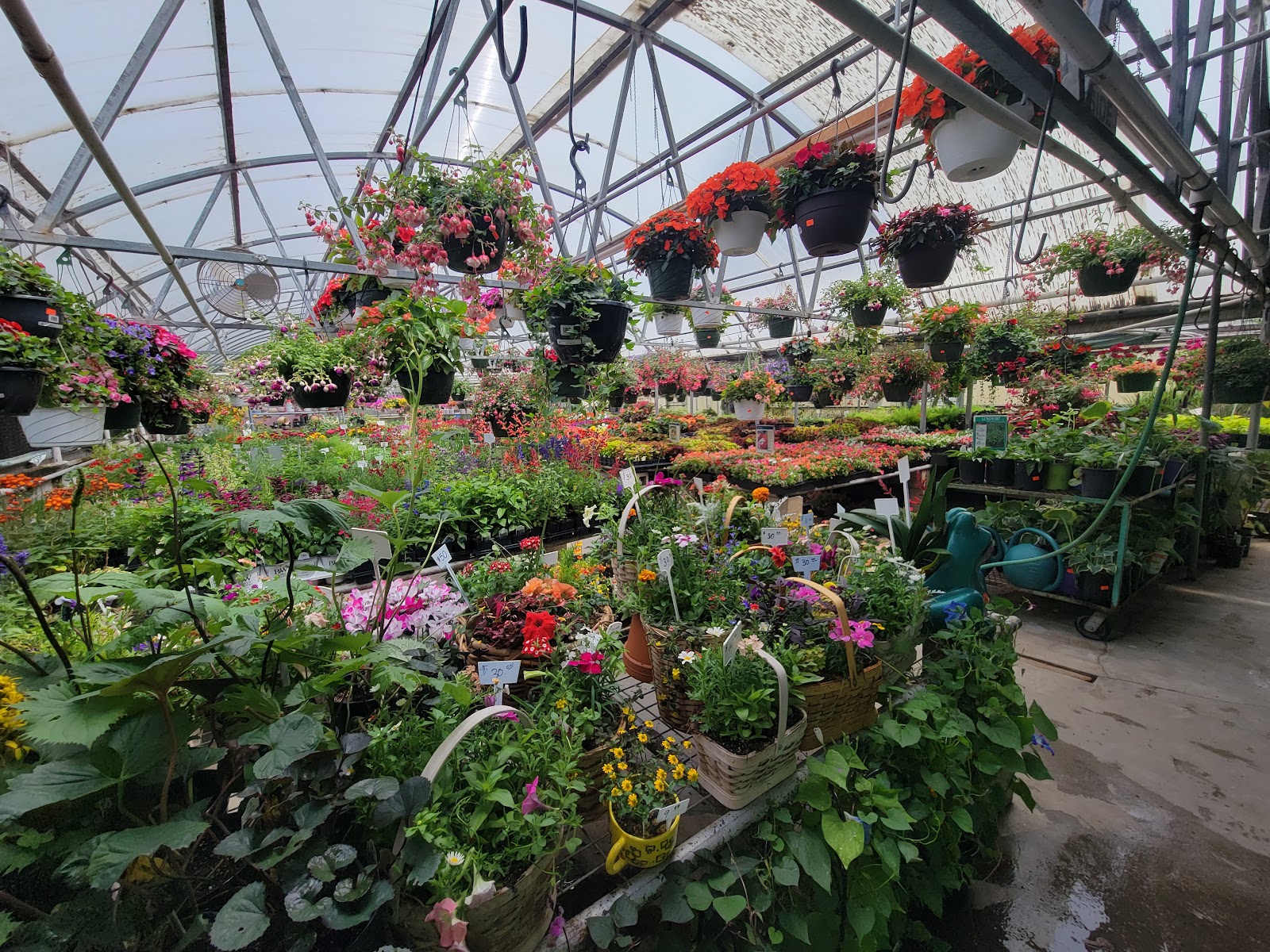 Giambrocco & Sons Garden Center