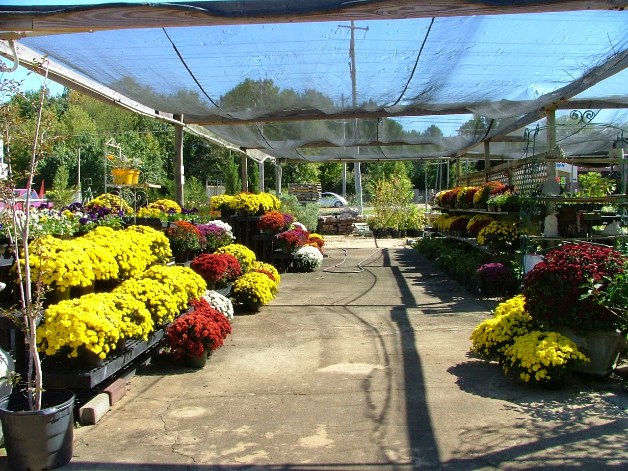 Giaroli's Nursery & Landscaping