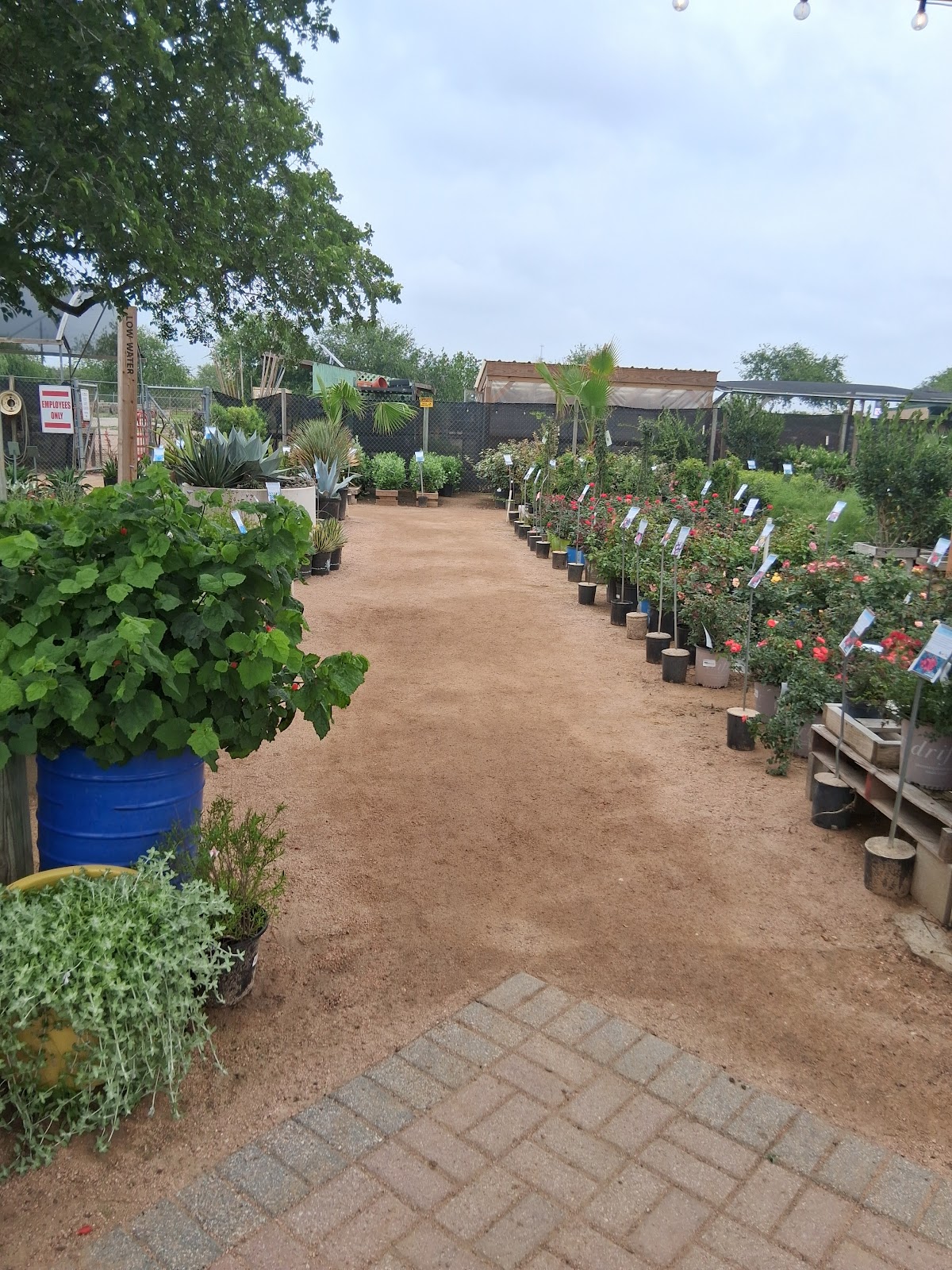 Gill Garden Center + Landscape Co.