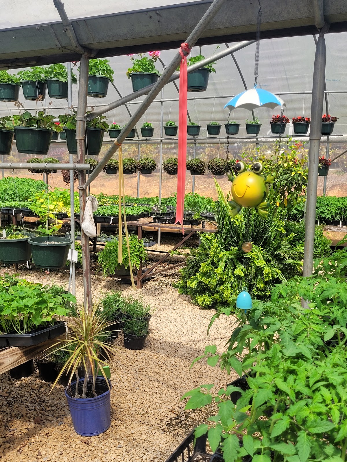 Gina’s Greenhouse