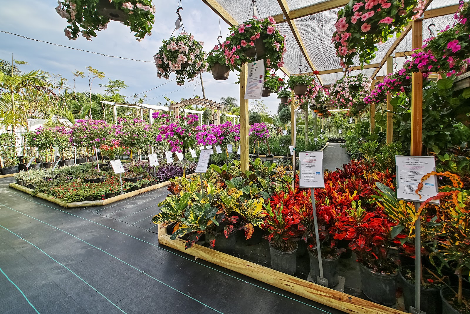 Giverny Gardens