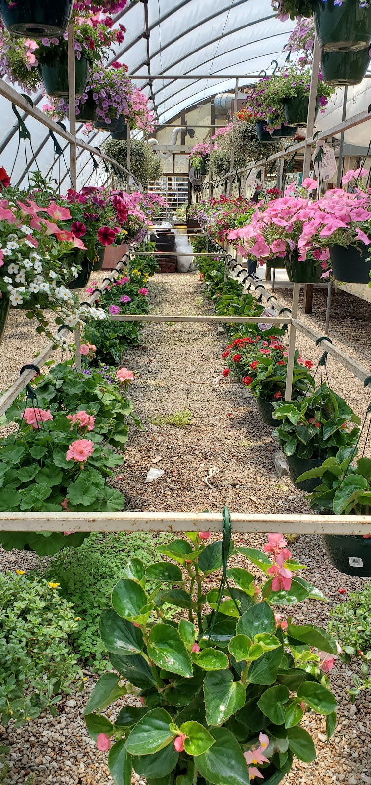 Glass Farm Nursery