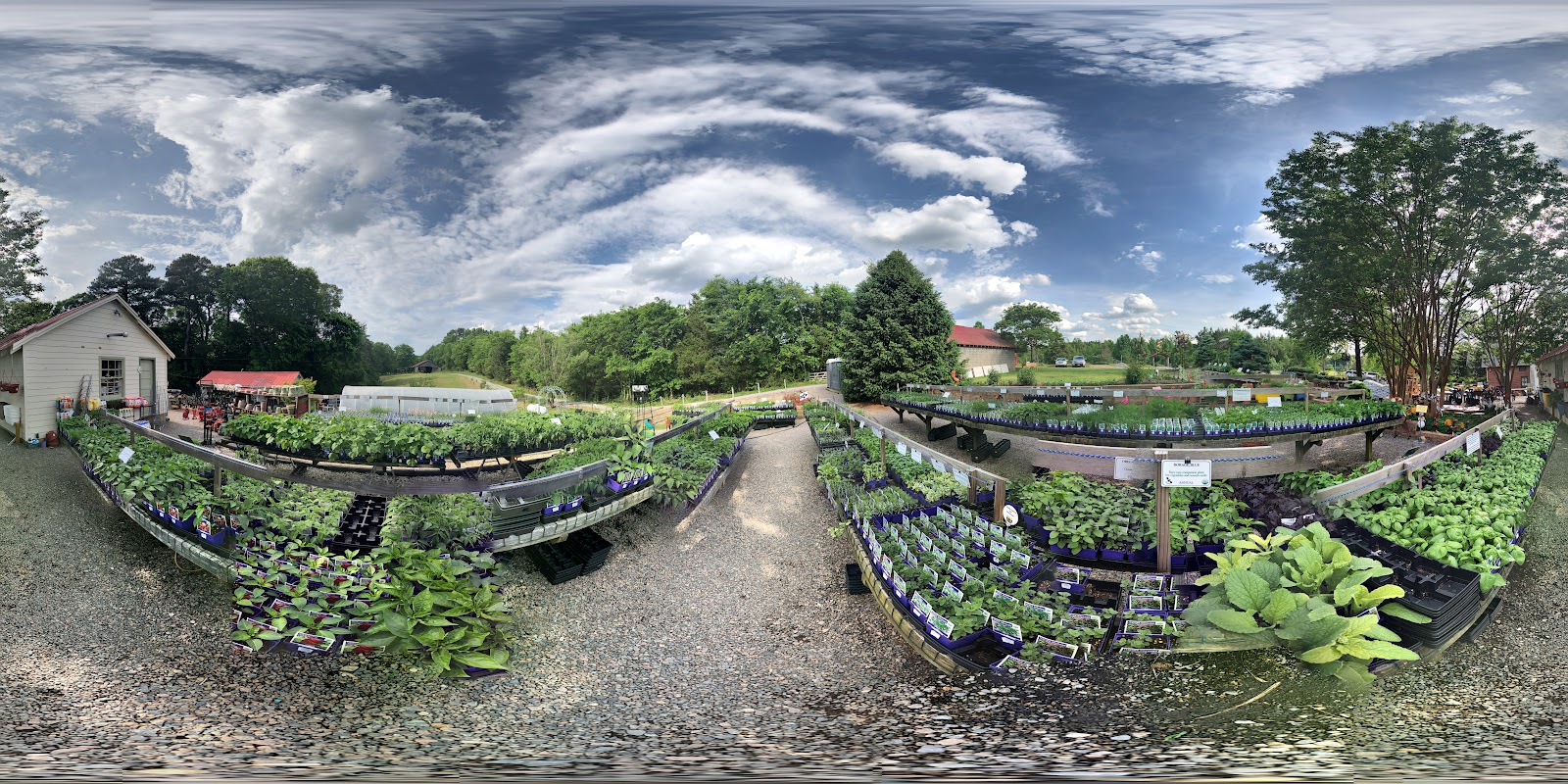 Glen Allen Greenhouse