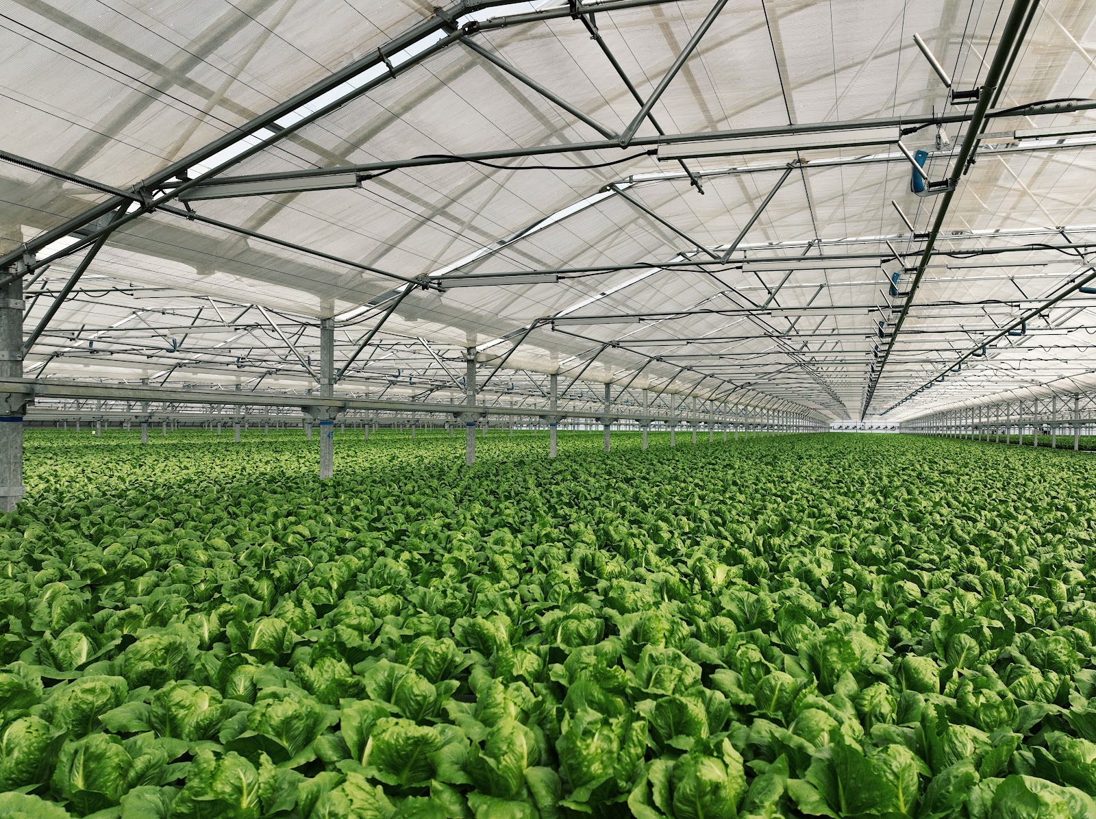 Go Green Agriculture