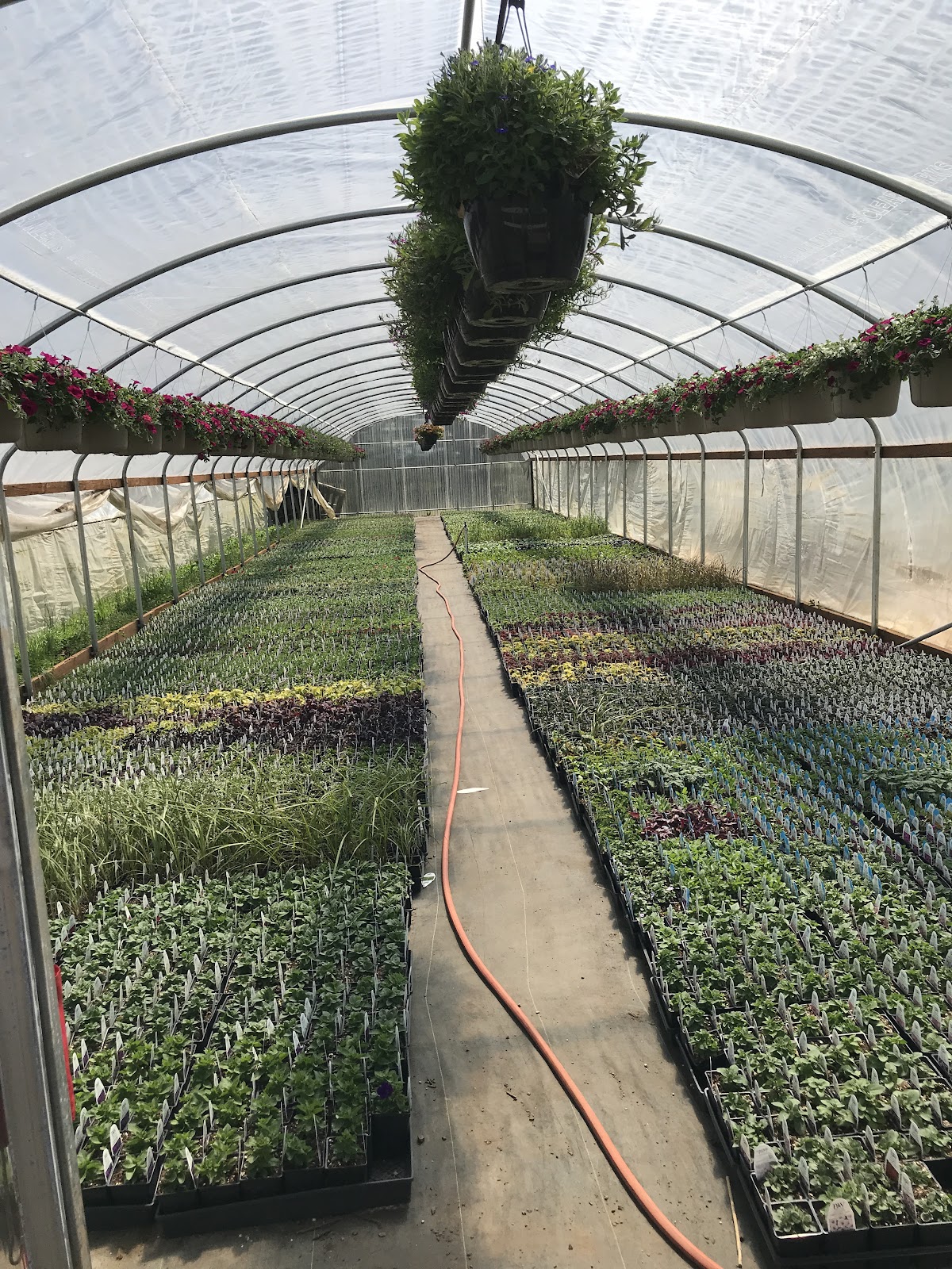 Godfrey Nursery