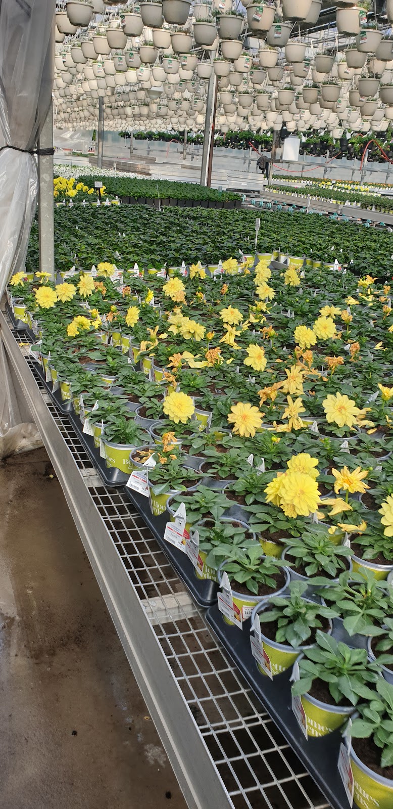 Golden State Growers