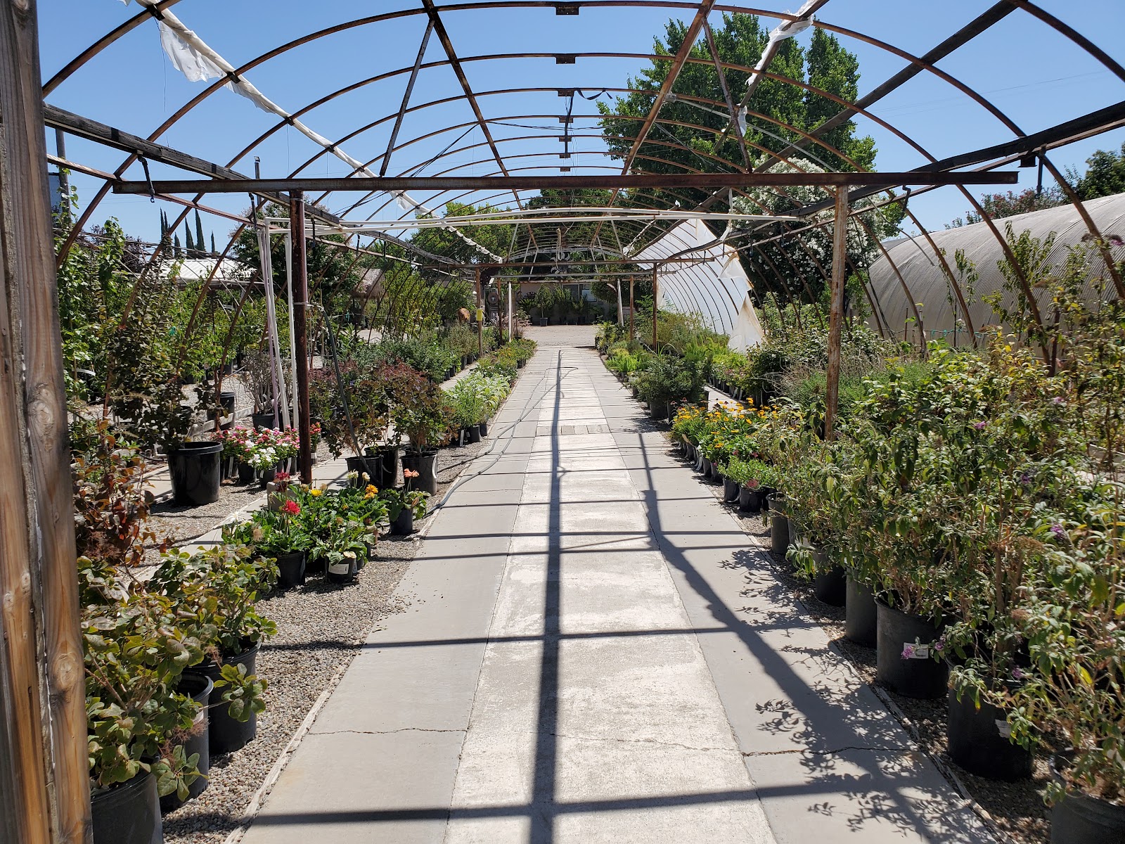 Golden Valley Nurseries