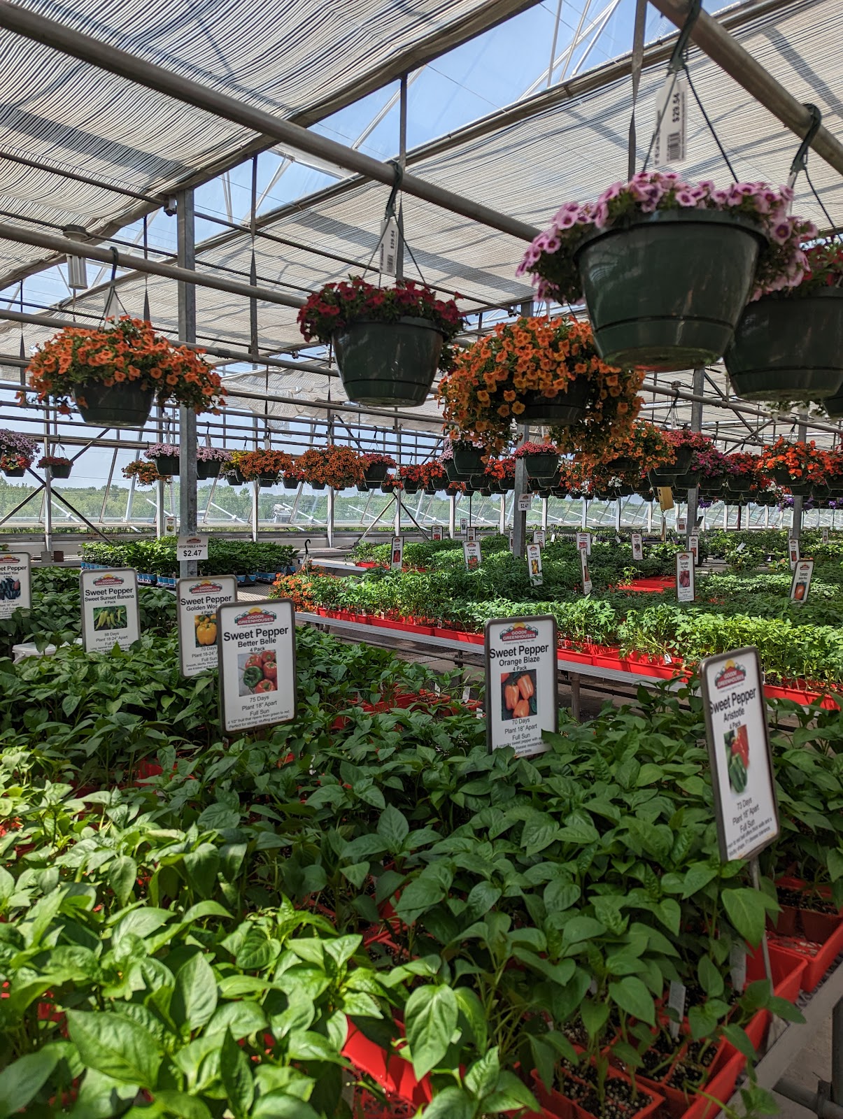 Goode Greenhouses
