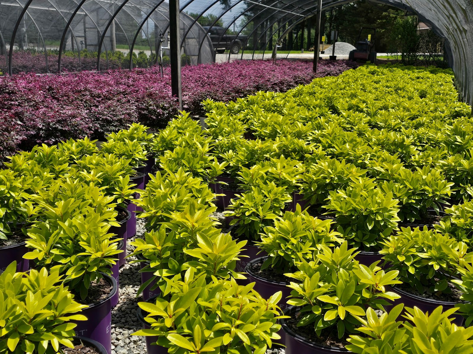 Gossett's Landscape Nursery