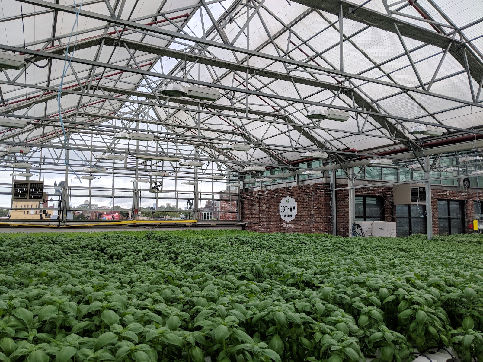 Gotham Greens