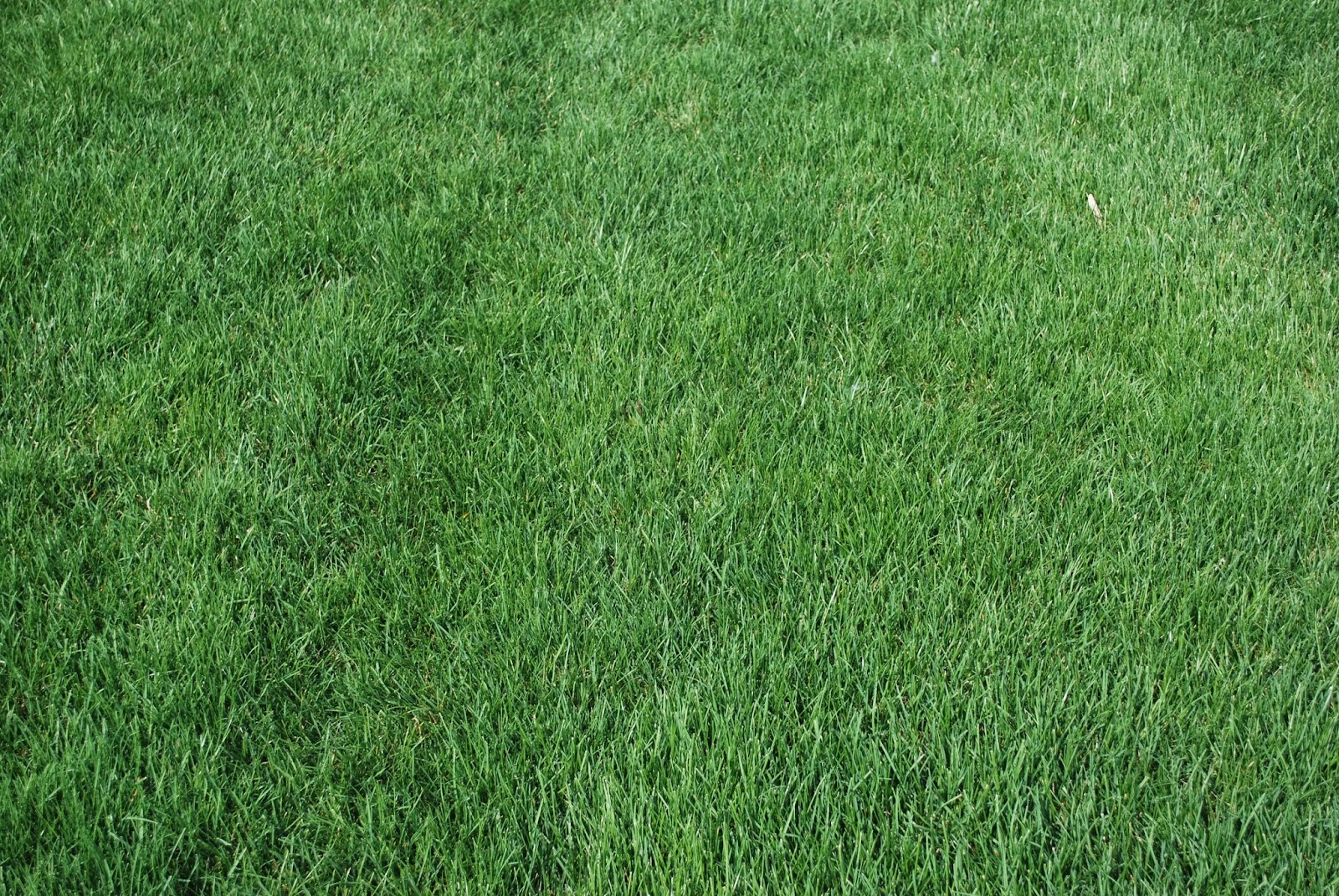 Grass Pad