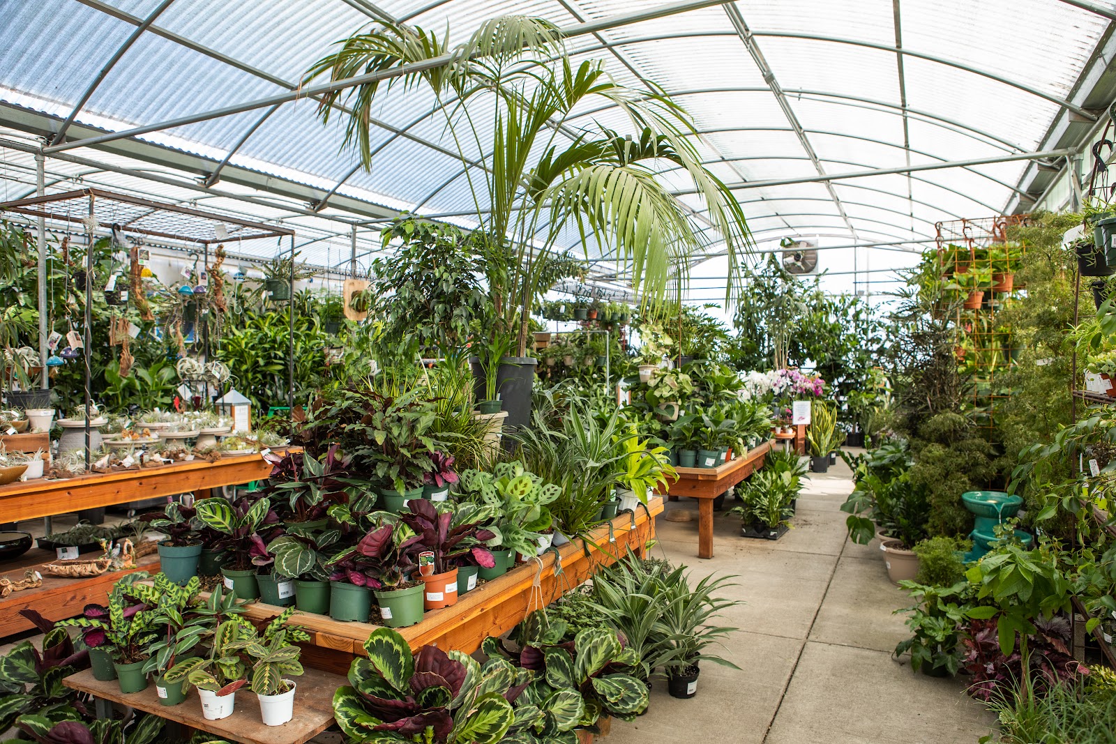 Green Acres Nursery & Supply