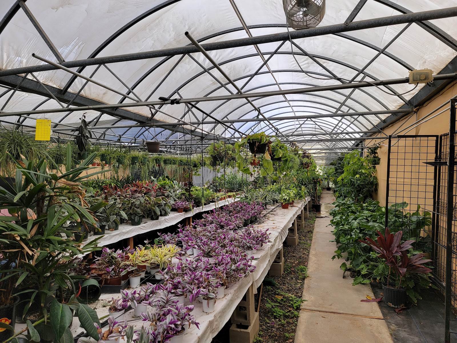 Green Air Botanicals