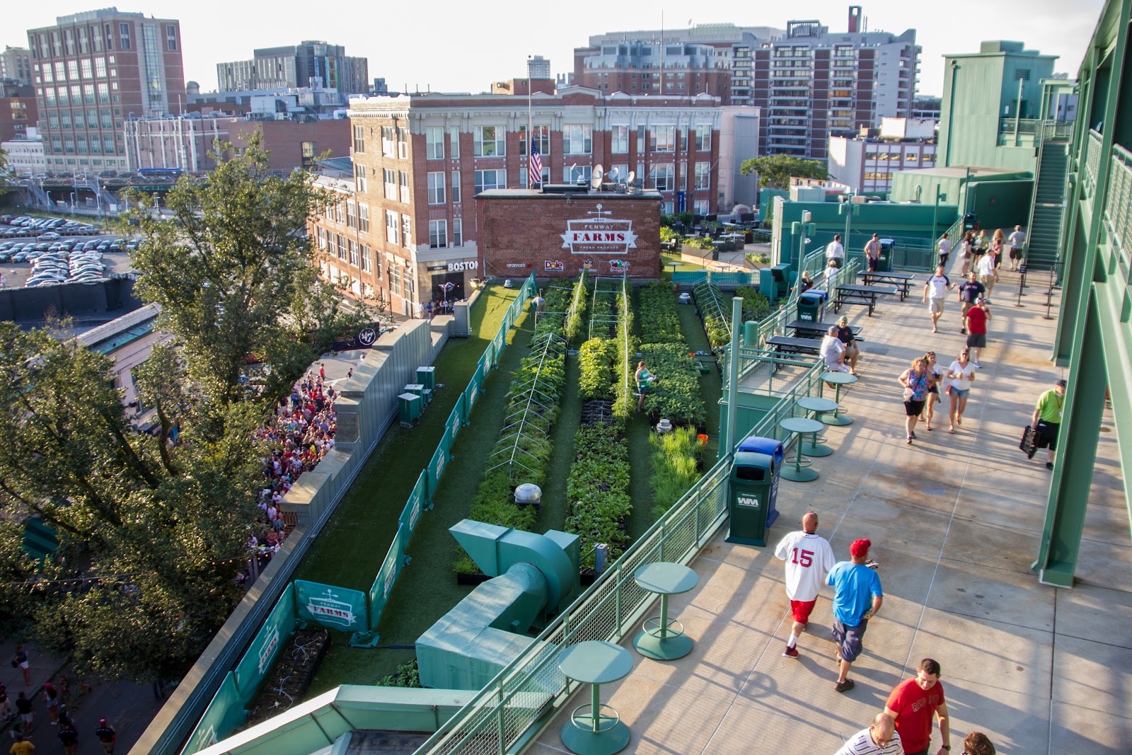 Green City Growers