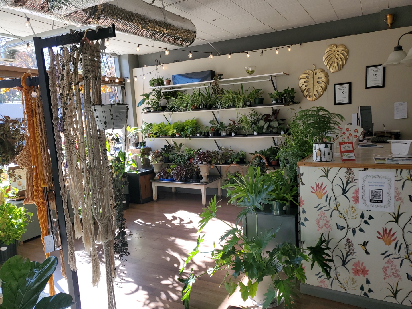 Green Designs, LLC