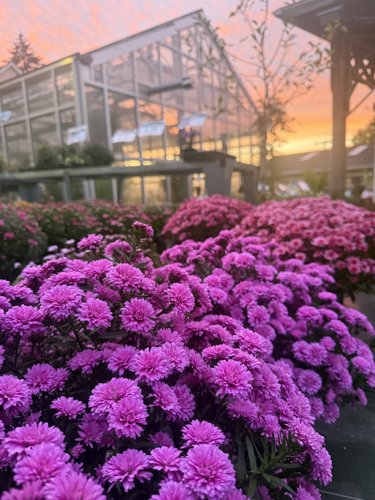 Green Fields Nursery & Landscaping Company