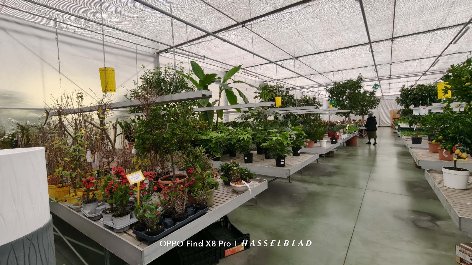 Green Garden Centers