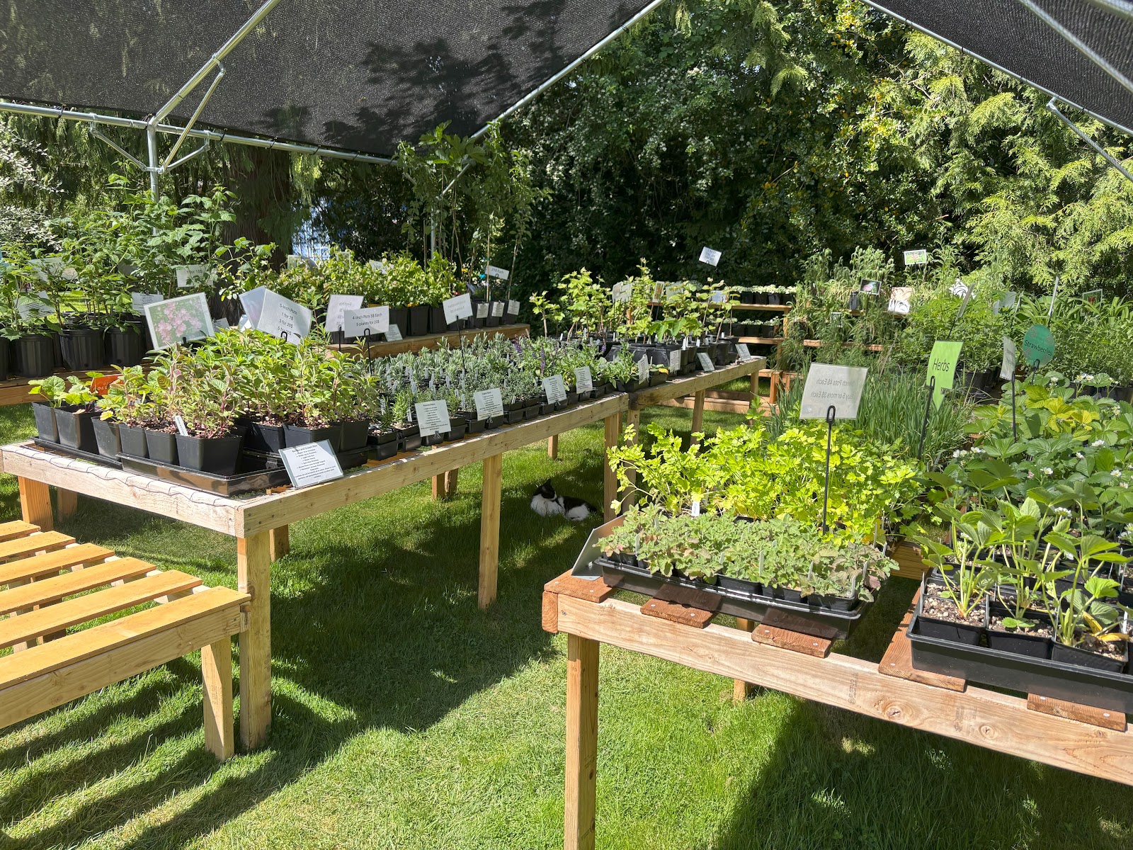 Green Garden Nursery