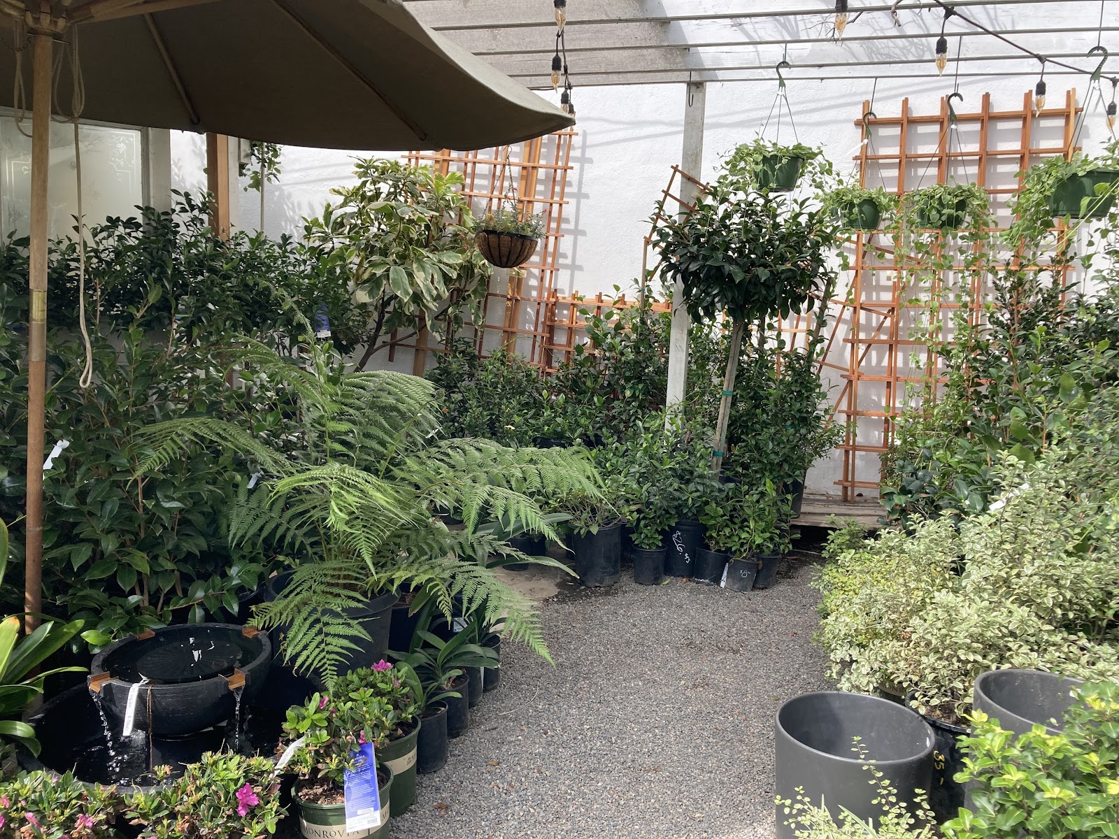 Green Gardens Nursery
