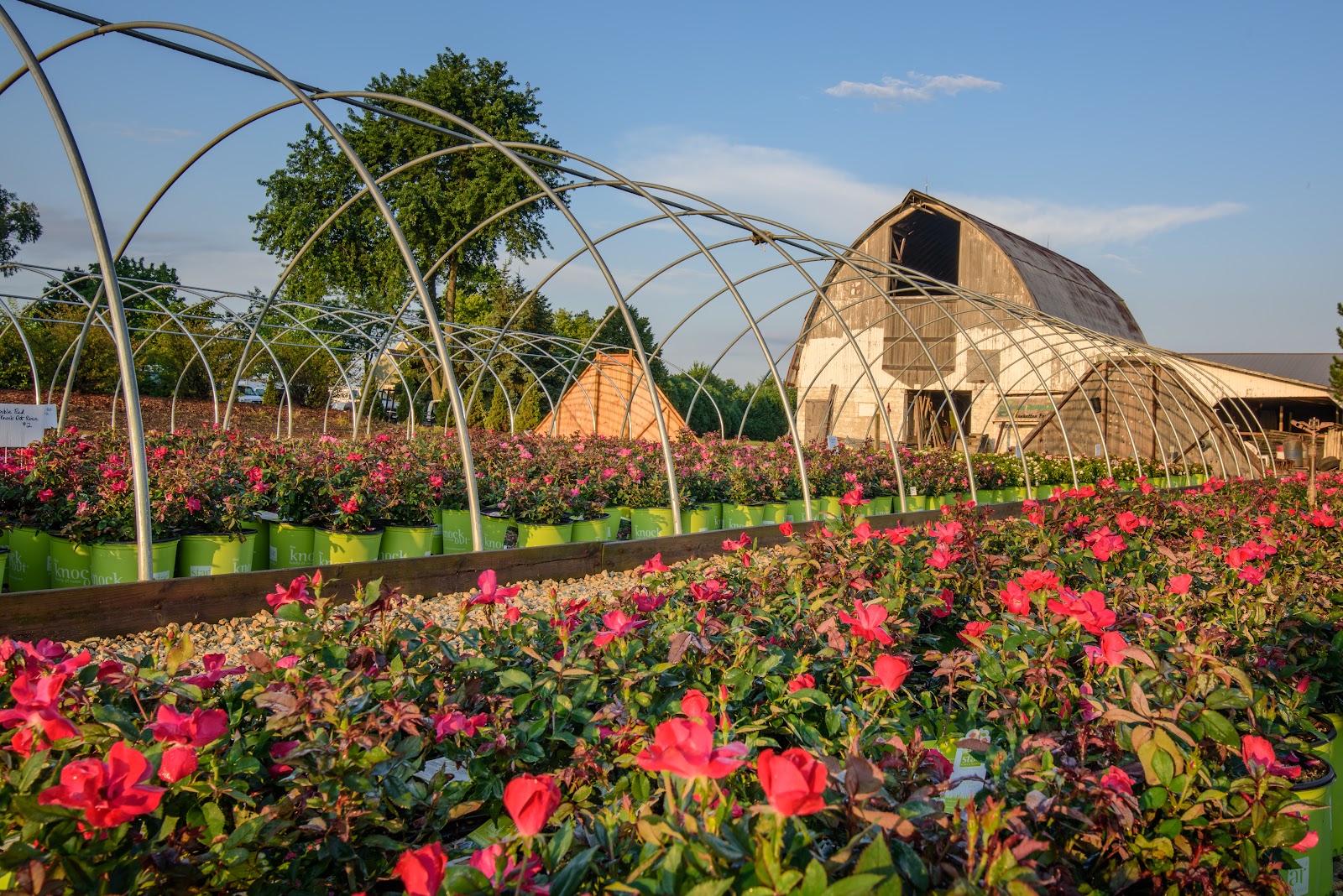 Green Glen Nursery, Inc