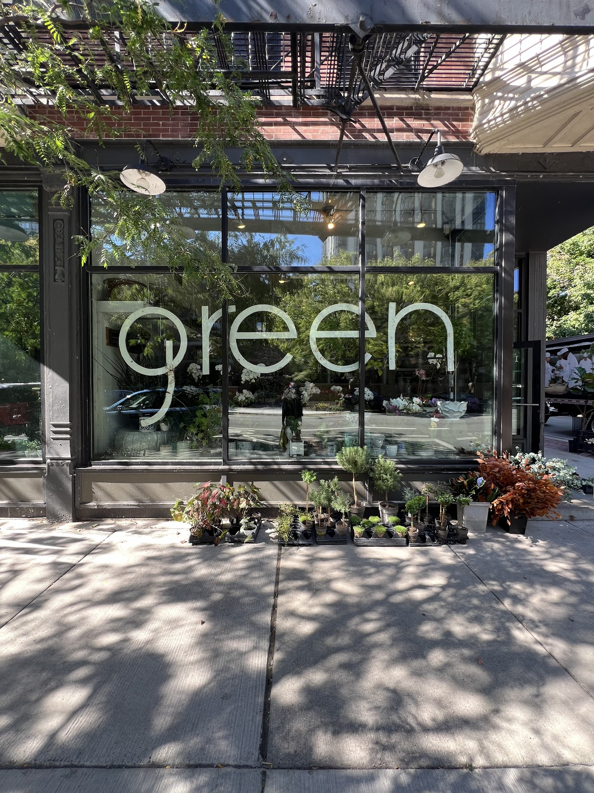 Green Inc