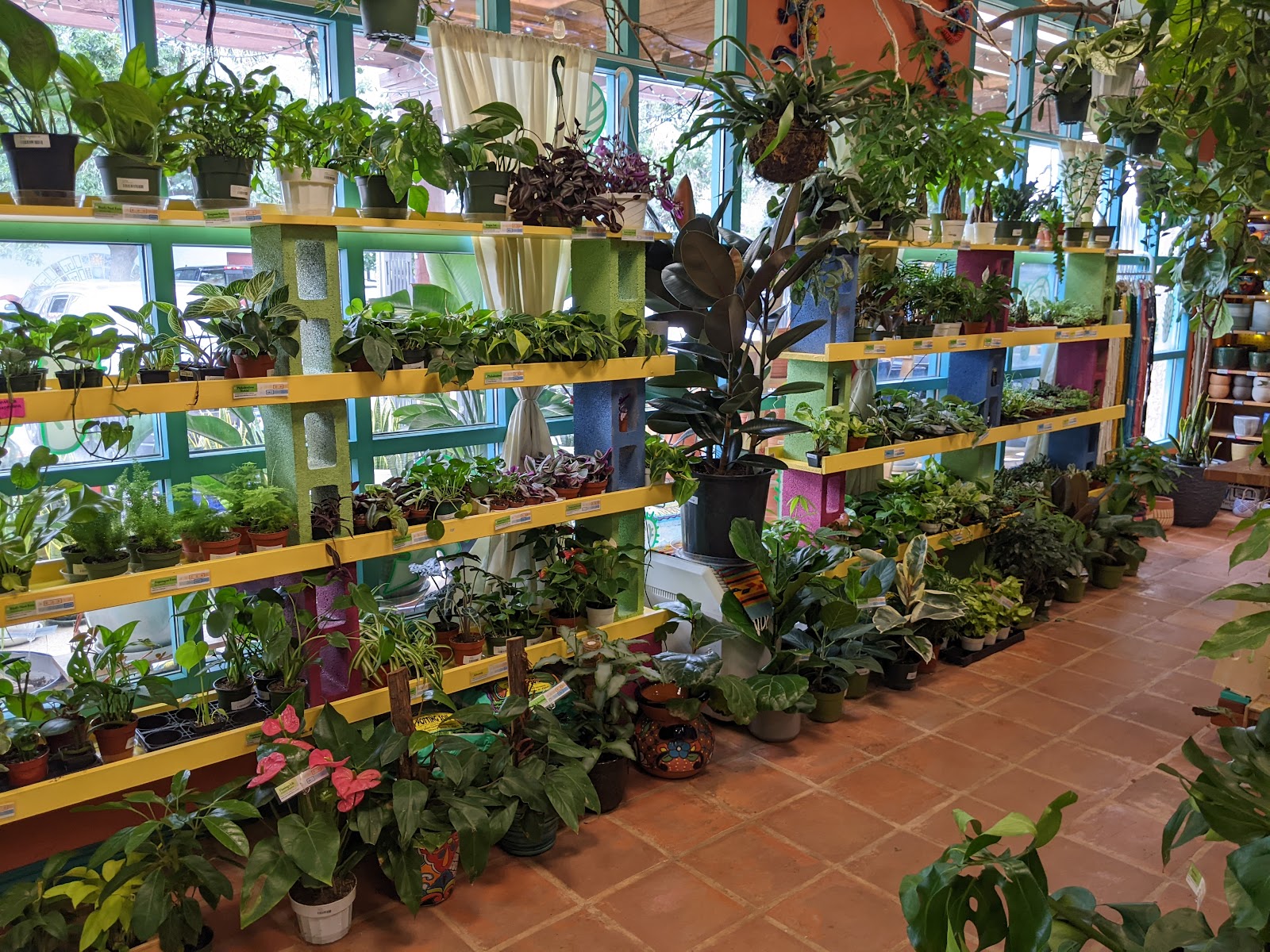 Green Lady Gardens