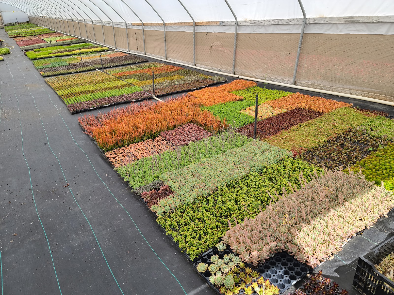 Green Meadow Growers