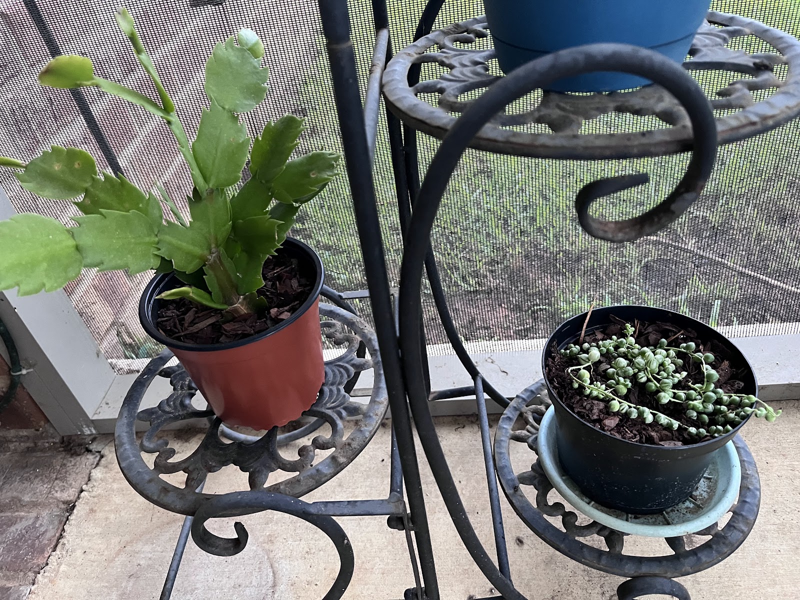 Green Nectar Gardens