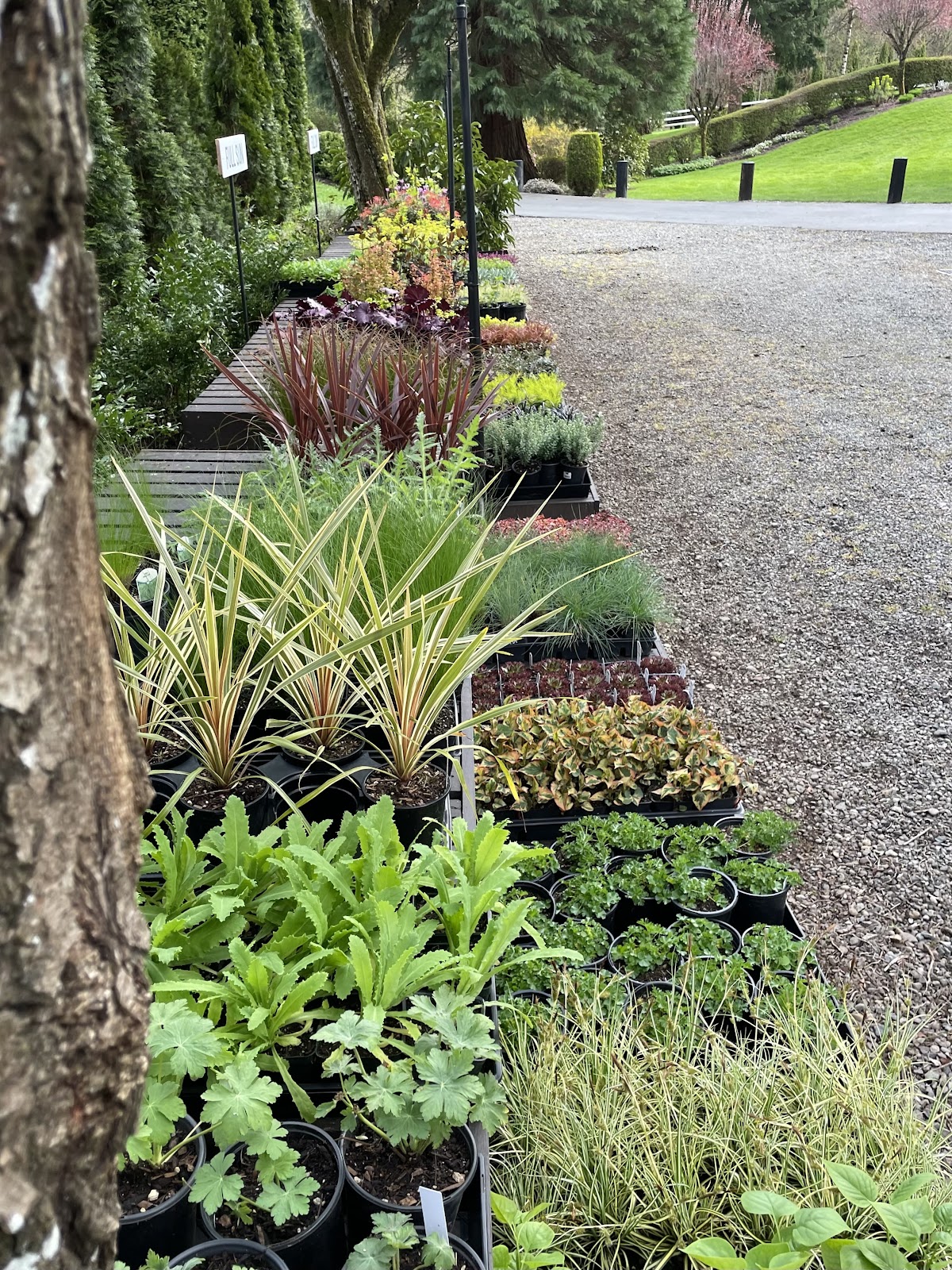 Green River Nursery