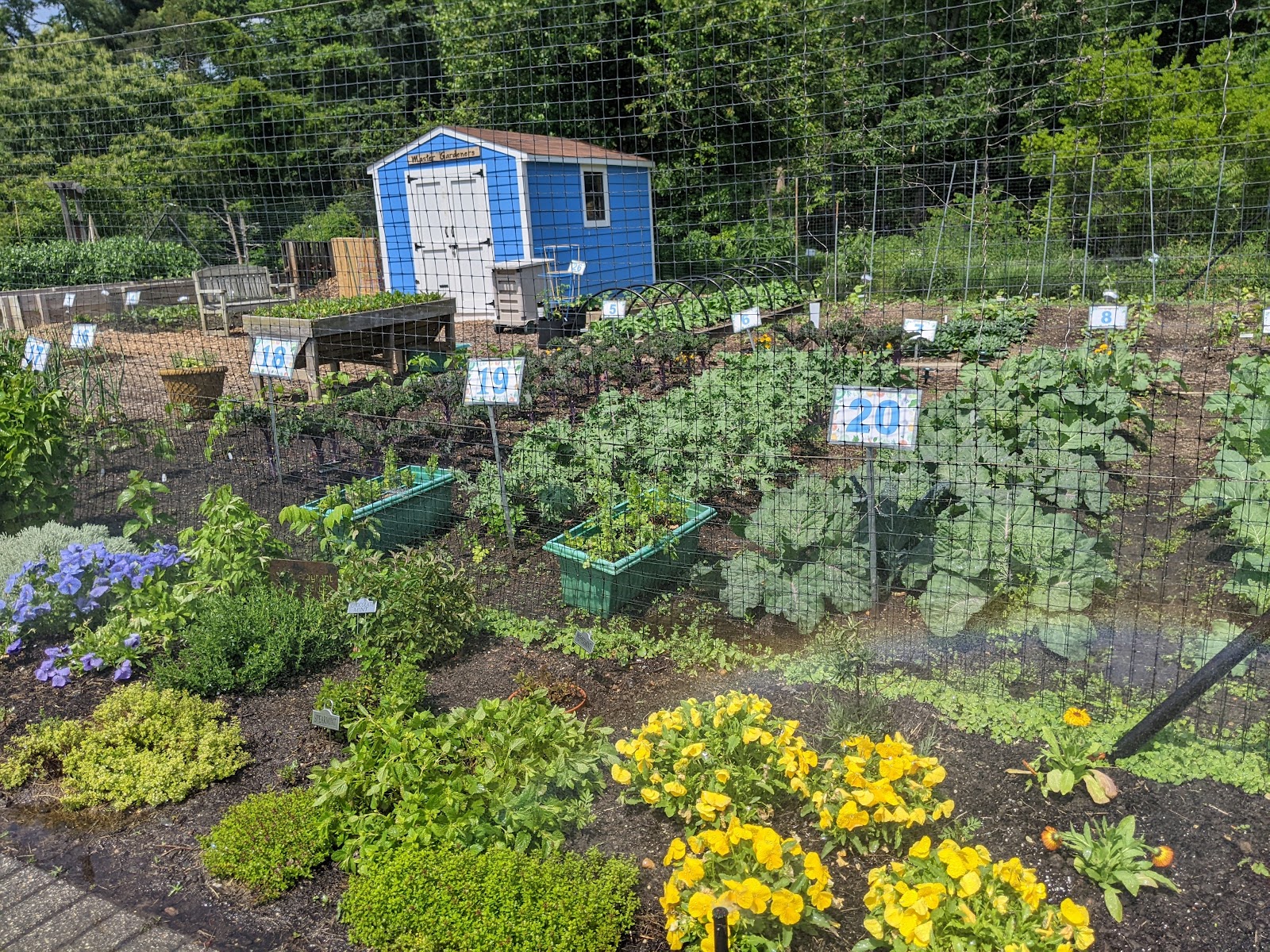 Green Spring Gardens Horticultural Center