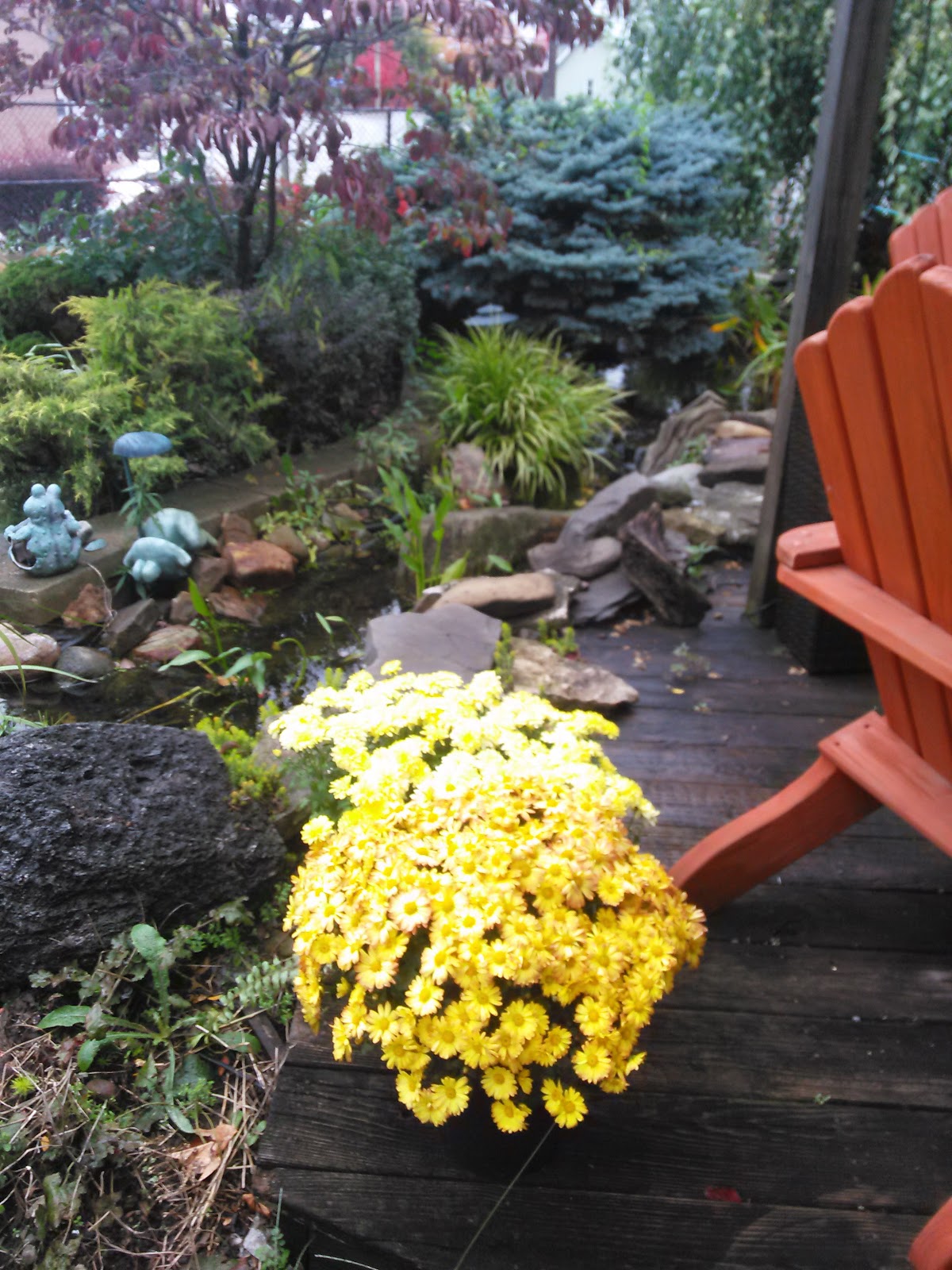 Green Thumb Florist