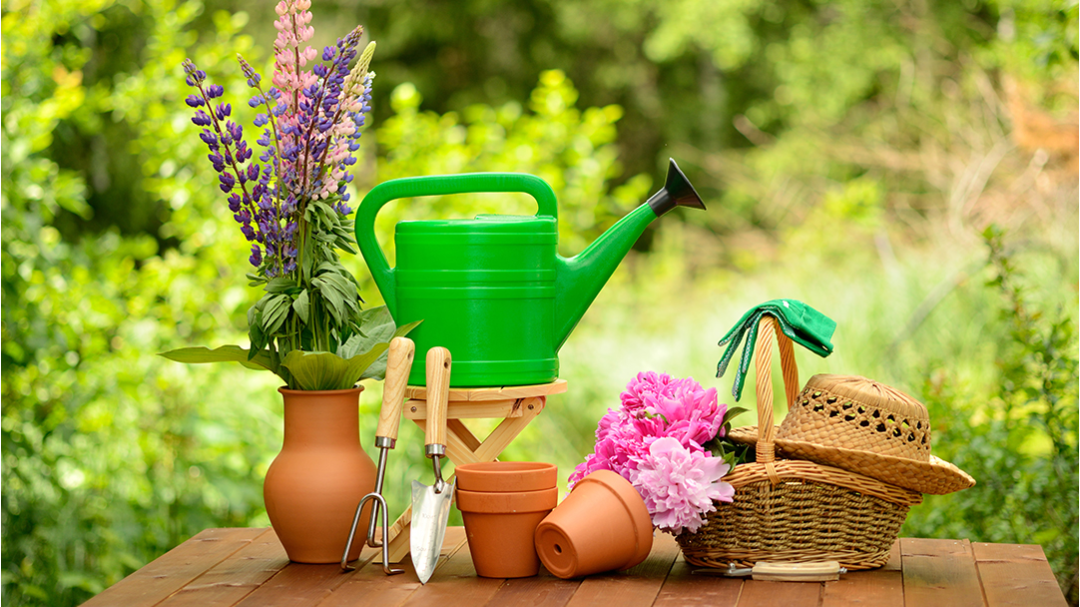 Green Thumb Nursery