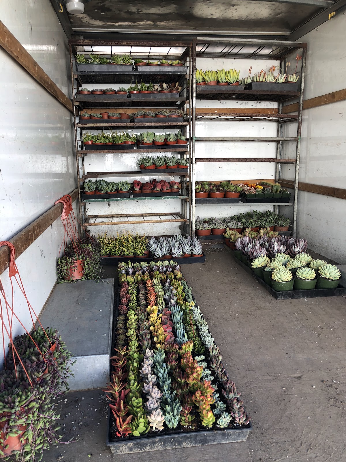 Green Touch Nursery