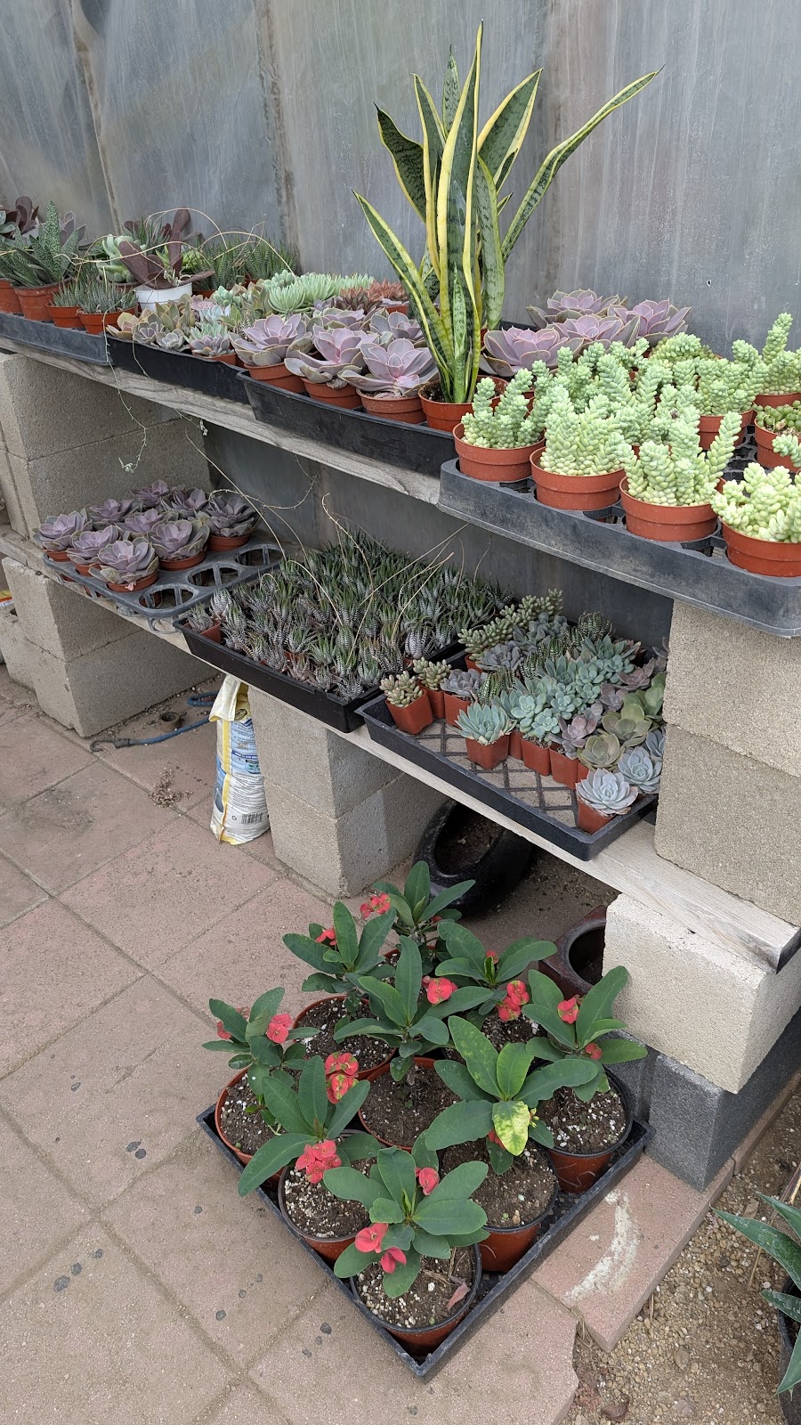 Green Valley Growers