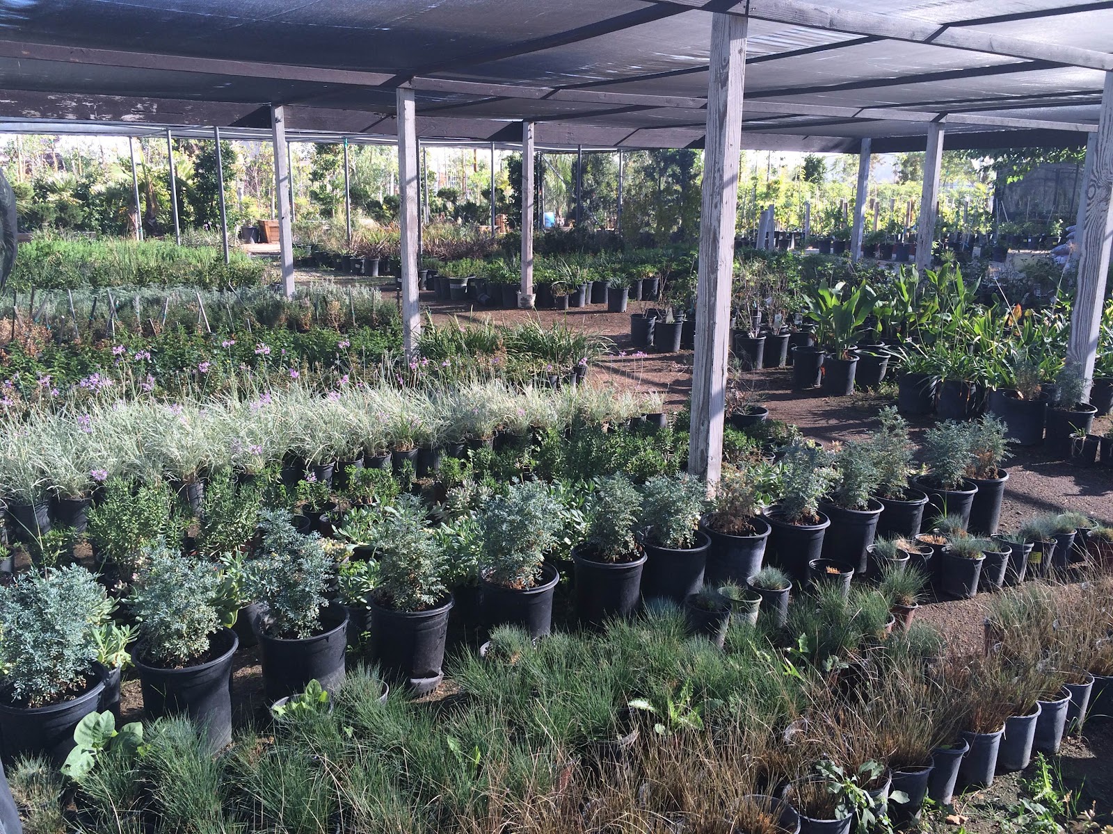 Green Valley Nursery
