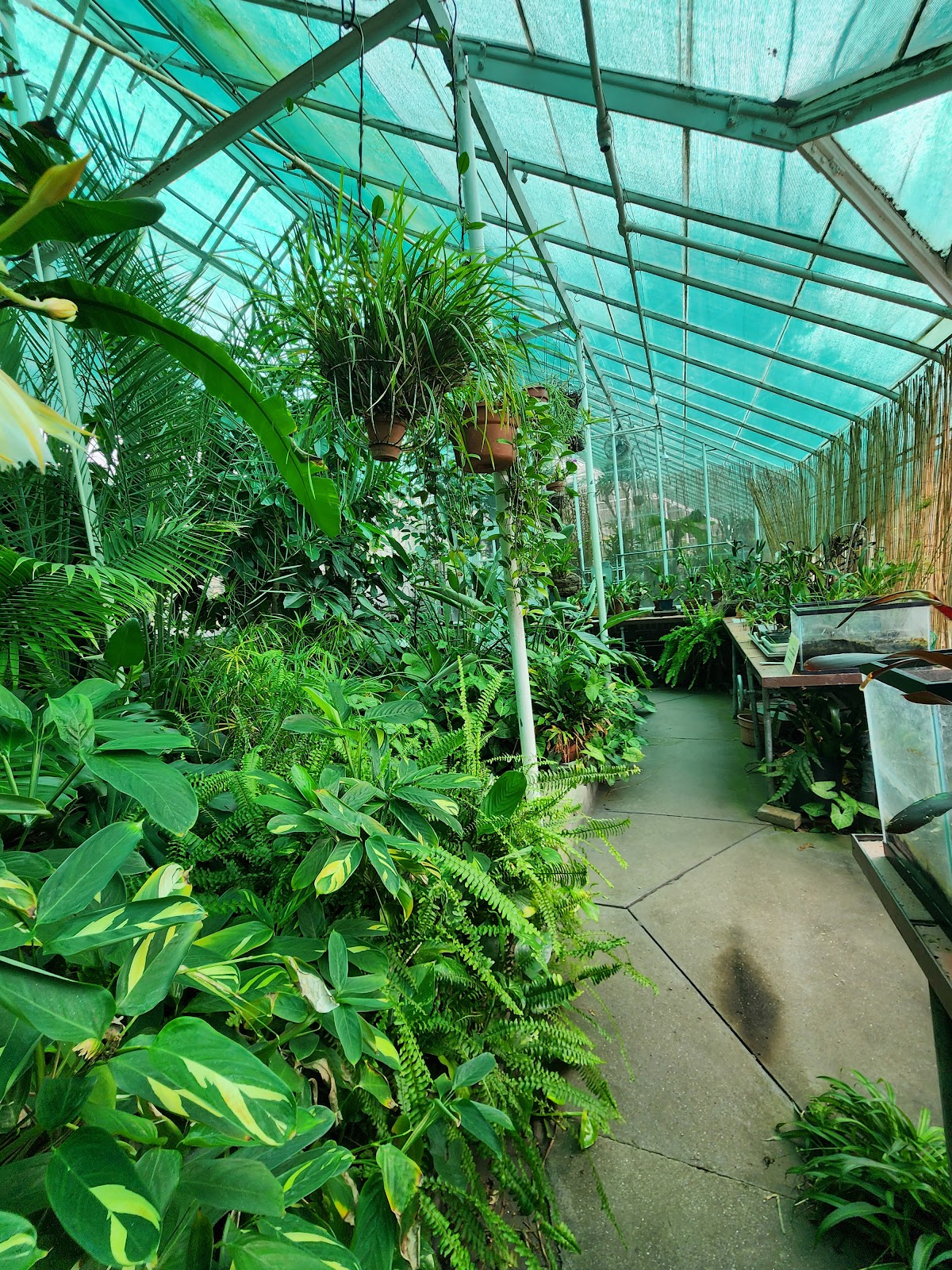 Greenbrier Greenhouse