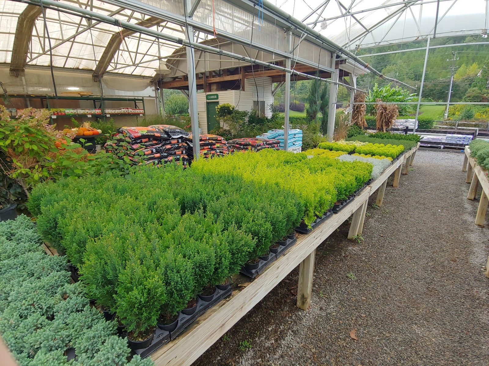 Greenbrier Nurseries